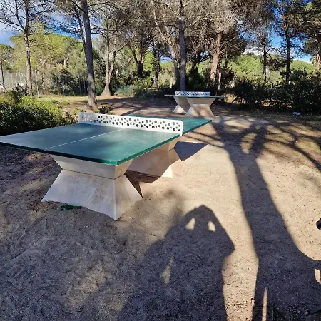 Grand T3 - Terrasse Les Pieds Dans L'eau - Climatisation شقة